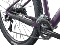 Liv Tempt 29 3