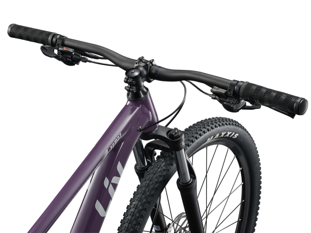 Liv Tempt 29 3